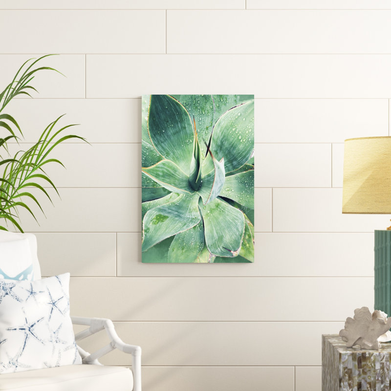 Vert succulent tropical vert I, H 30 po x l 20 po x P 1,25 po