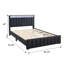 Full Size Bed And 2X Nightstands Bedroom Furniture Luxury Look Black Fabric Upholstered Bedframe W LED Nailhead Trim 3Pc Bedroom Set