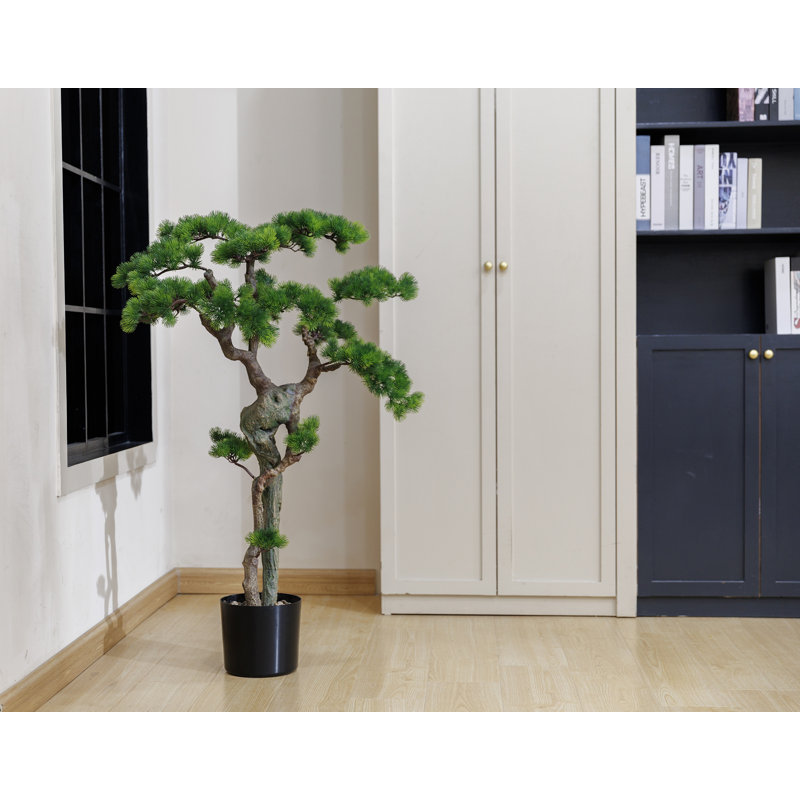 H 56,08 po Bonsai d'une beauté réelle, Bleu