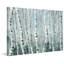 « pelure tree trunks ii », peinture sur toile tendue-1666496178