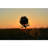 Scenic & Cityscapes Non-Wall Damaging Wall Decal-32928830