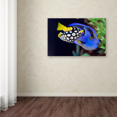 by Kurt Shaffer Color Photography Print