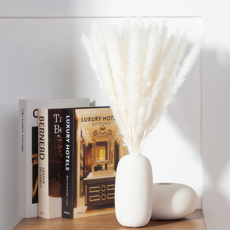 Pampas Grass Arrangement, Brown, 45cm H x 5cm W x 5cm D