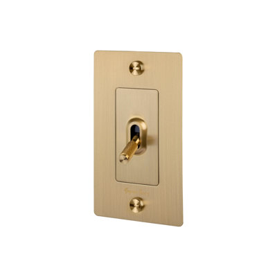 1G Toggle Switch / Logo