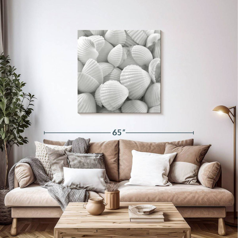 Aletra White Shells