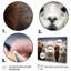 Alpacas Graceful Fibers - Imprimé-2018972079-2018972074