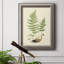 «Curtis Ferns II», cadre photo, impression sur toile-356155089