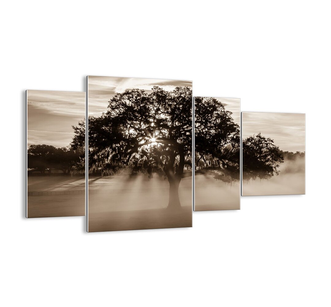 4-tlg. Glasbilder-Set - Fotografie „Good News Tree”