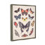 «Cottage Moths and Butterflies On Wood» par Diane Neukirch, impression-93846728-93852754