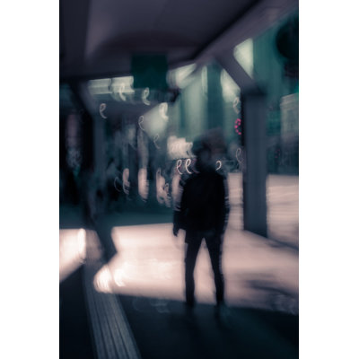 Wrapped Canvas Print