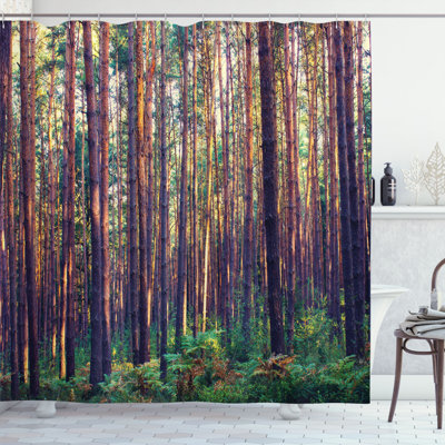 Shower Curtain with Hooks Included