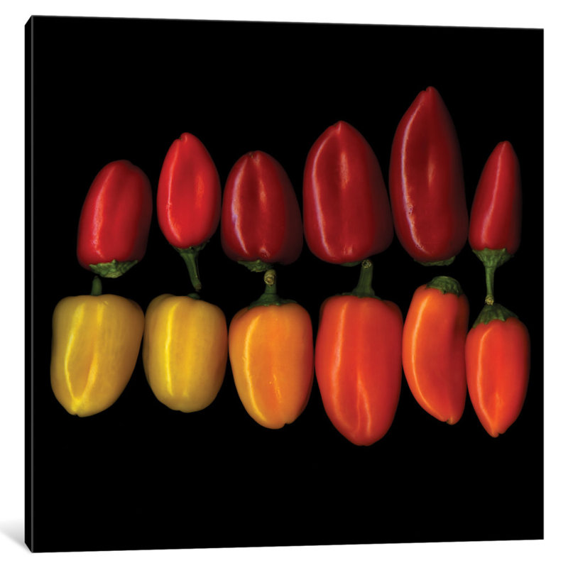 «The Chiquinos» par Magda Indigo, reproduction de photo sur toile tendue, H 24 po x l 24 po x P 1 po, Blanc