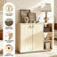 10 Pair Shoe Storage Cabinet