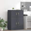 Storage Cabinet-2003591273