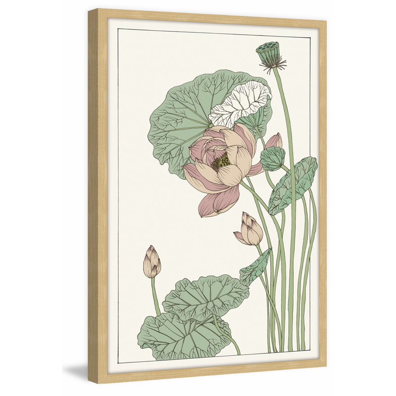 Botanical Gloriosa Lotus II - Single Picture Frame Print, 46cm H x 30cm W x 4cm D
