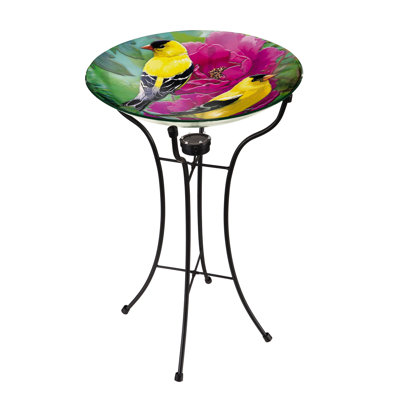 Bassin pour oiseaux