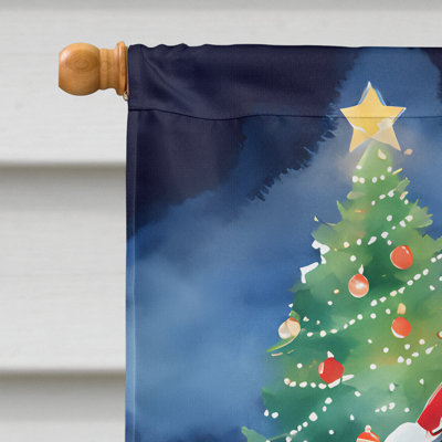 Drapeau de Terre-Neuve