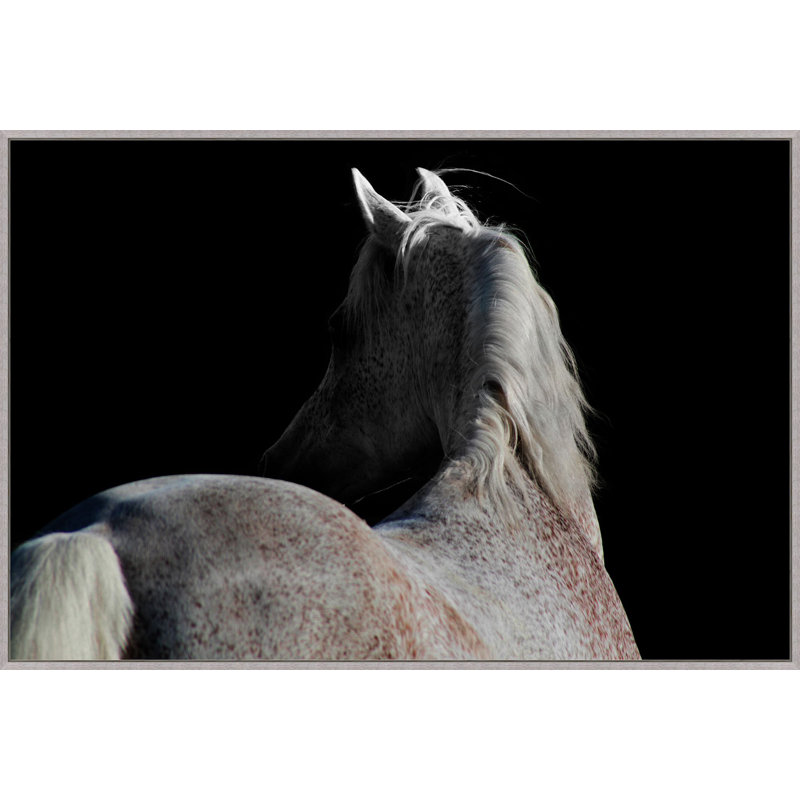 Horse Shadows Print by StudiObjet