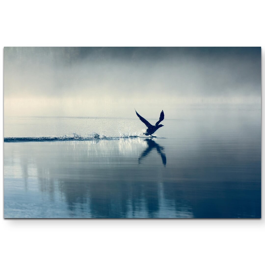 Leinwandbild Vogel und Wasser