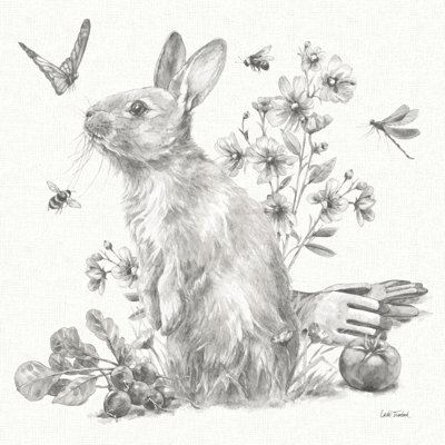 Garden Patch II Sketch by Leslie Trimbach