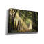 «The Light of Lochem» par Martin Podt, art mural sur toile-2037146278