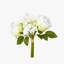 Jets rose et hortensia-381140276
