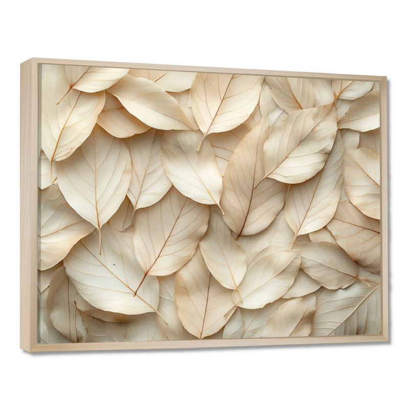 Jabrion, crème, blanc, feuilles d'amande - feuilles, art mural, H 34 po x l 44 po, Impression encadrée flottante, Brun