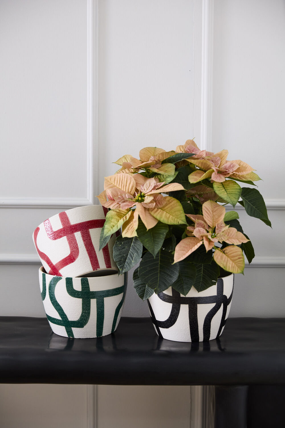 Leshawn 10" Pot Planter, Black