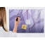 Magnetic Glass Dry Erase Board
