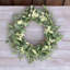Couronne d'eucalyptus de 20 po pour la porte d'entrée - Décor de ferme verte pour porche, fenêtre, printemps à l'automne toutes saisons