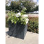 Pot à fleurs carré de 12 po en béton gris moyen avec trous de drainage pour l'intérieur et l'extérieur, intérieur amélioré-33045136-120328325