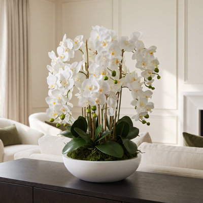 Orchid Arrangement in Round Fiberstone Pot