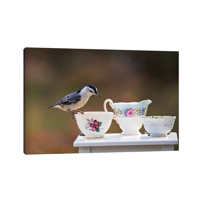 Nuthatch And Tea Set by Karen Burke - Wrapped Canvas Print, 20.32cm H x 30.48cm W x 1.905cm D