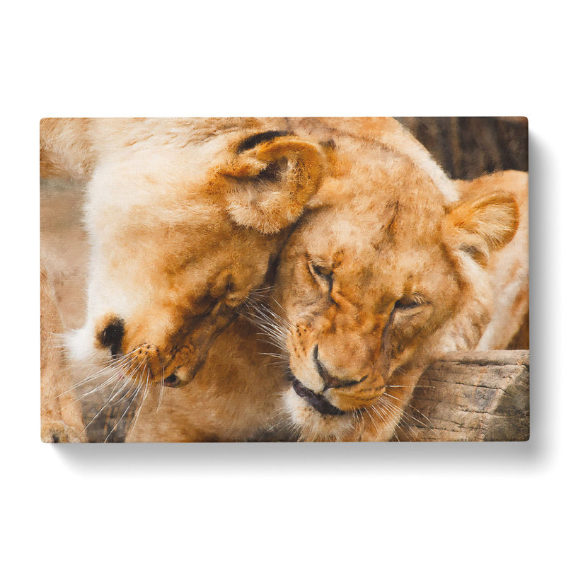 Cuddling Lions - Wrapped Canvas, 40cm H x 60cm W x 3cm D
