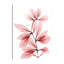 Reproduction d’art sur toile, "Coral Wonder 2" par Albert Koetsier-792873148-690396457