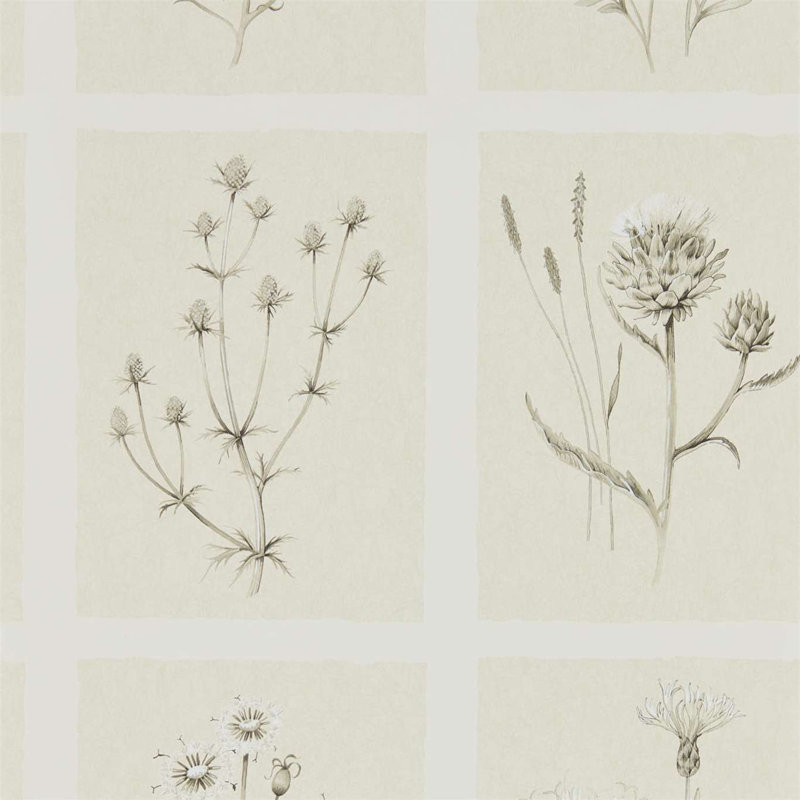 Little Thistles Wallpaper, Ecru