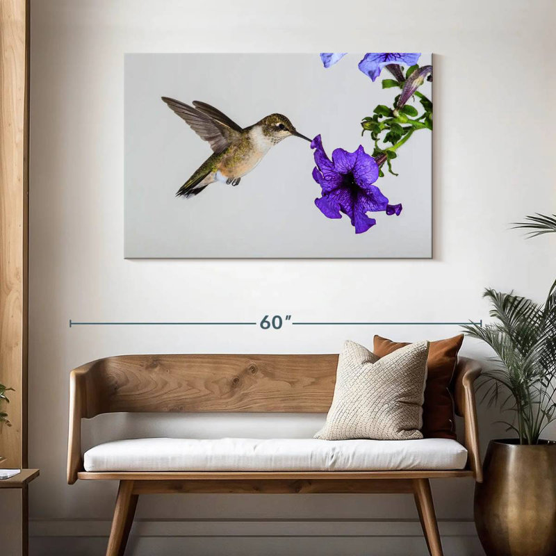 Brampt Purple Flower Hummingbird