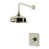 Polished Nickel