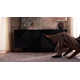 Linsly Handmade Rug