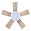 Tavontae 24'' Ceiling Fan with LED Lights-313078641