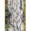 Marathon From Above Print by Richard Silver-26761610-26761612