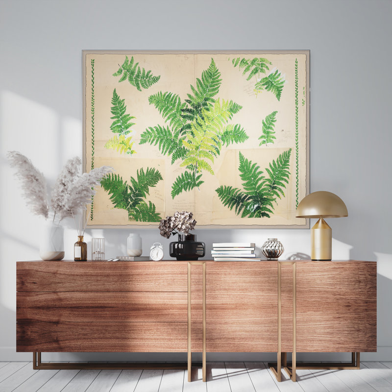 Fern Print by Paule Marrot, 43" H x 54" W x 1.25" D, White Framed