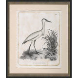 Little White Heron Painting