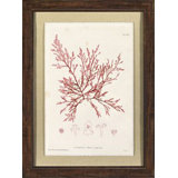 Bradburys Red Coral I Print