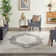 Oriental Indoor Rug