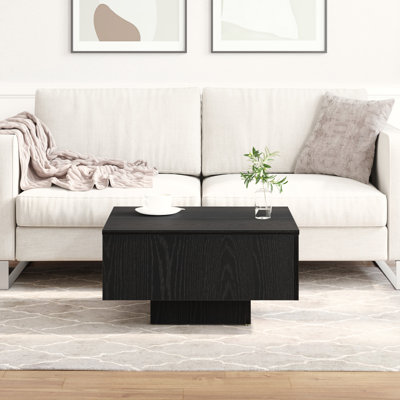 Coffee Table with Storage