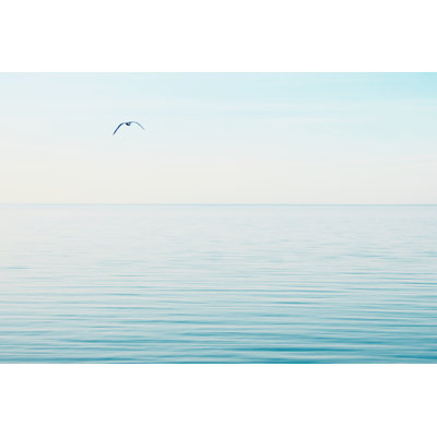 Paysage marin Photo VI