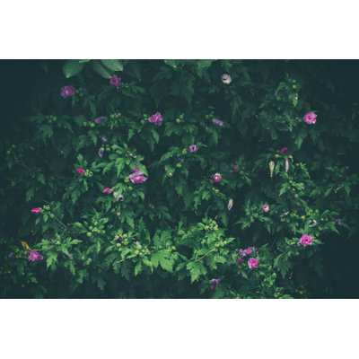 Floral Nature Wall - Wrapped Canvas Print