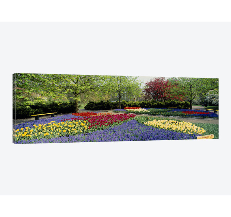 Reproduction de photo sur toile, H 24 po x l 72 po x P 1,5 po, Toile tendue