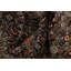 Tapis traditionnel New Elegant 9 x 11